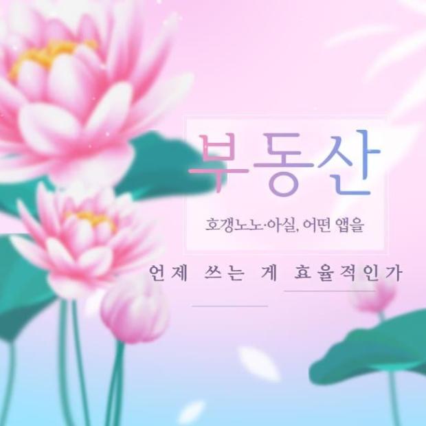네이버 부동산·호갱노노·아실, 어떤 앱을 언제 쓰는 게 효율적인가
